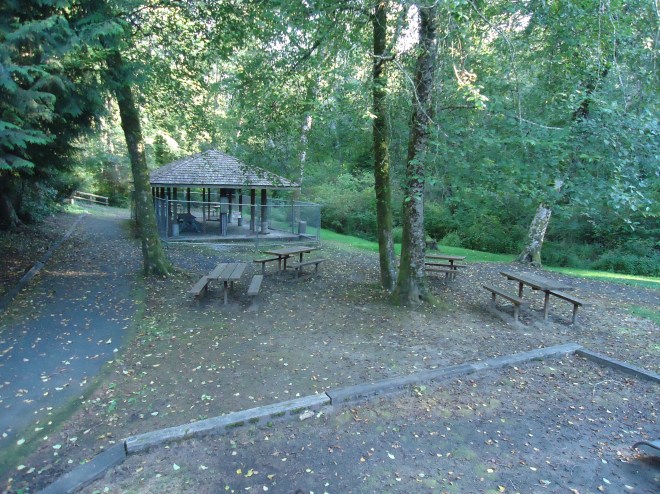 1991 Cosimopolis Festival_2