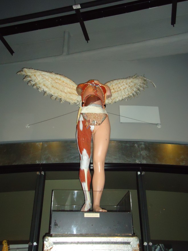 In Utero Angel